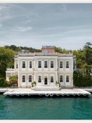 C Suite 1 kişilik katılım